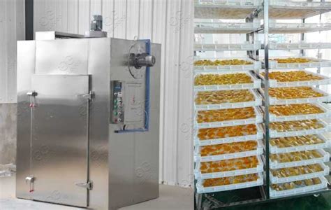 Industrial Fruit Drying Machine .